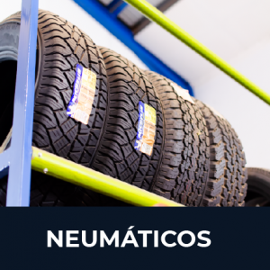 NEUMATICOS