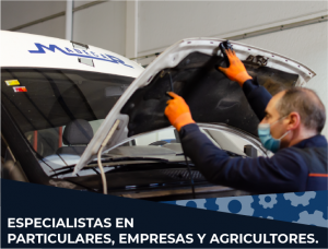 PARTICULARES-EMPRESAS