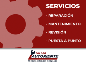 SERVICIOS-AUTORIENTE